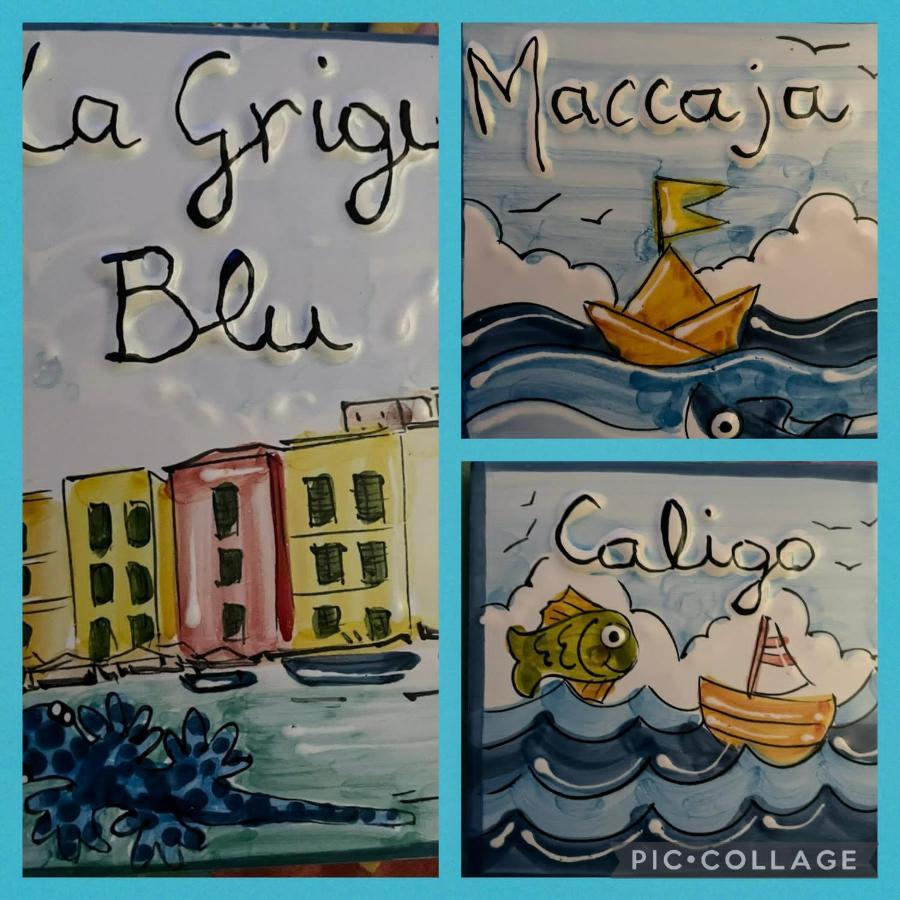 Ferienwohnung La Grigua Blu Riomaggiore Exterior foto
